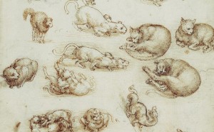 Leonardo da Vinci, Cats, lions, and a dragon c.1513-18.