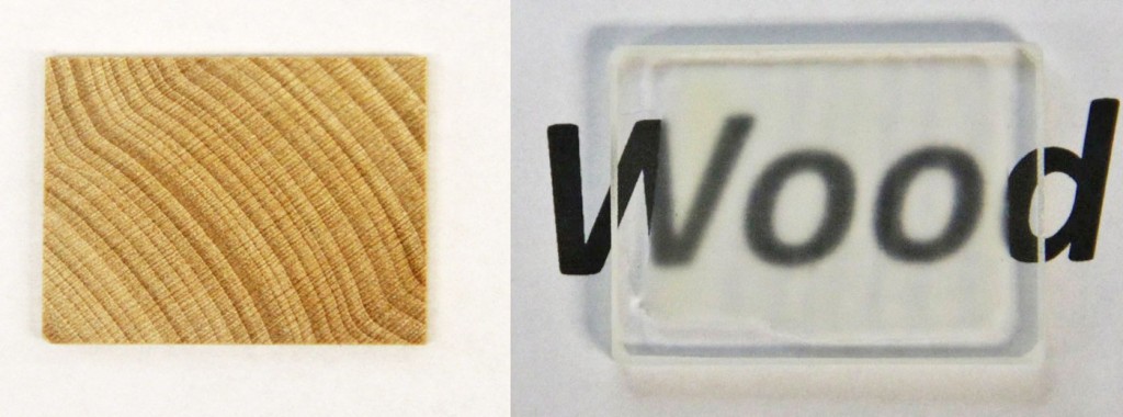 Transparent wood is now a thing.